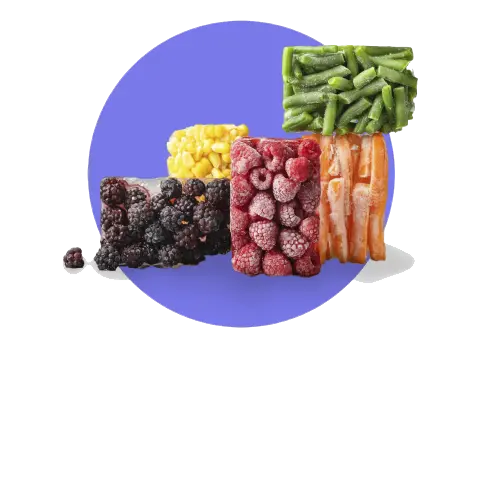 ALIMENTOS CONGELADOS